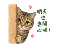 841437014