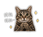841437055