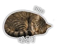 841437070