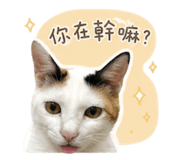 841437300