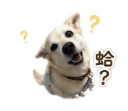 841437324
