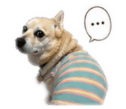 841437342