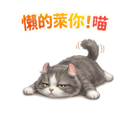 841437645