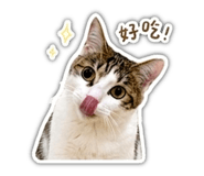841437667