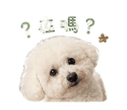 841437710