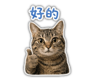 841437762