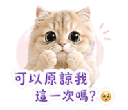 841437859