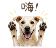 841437924