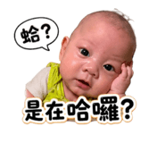 841437956