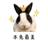 841438109