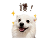 841438550