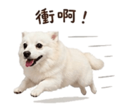 841438555