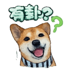 841439805