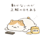 841442469