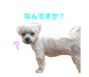 841443109