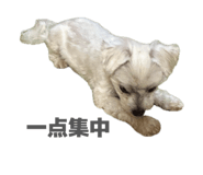 841443120