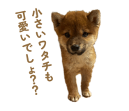 841443186