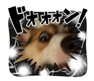 841443459
