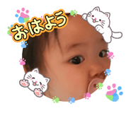 841443541