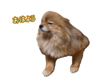 841444409