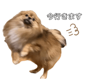 841444414