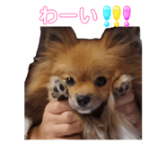 841444431