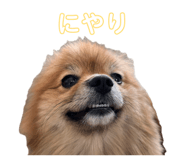 841444433