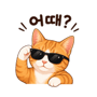 841444551