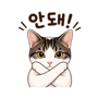 841444562