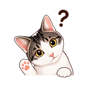 841444566