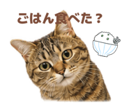 841444585