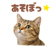 841444607
