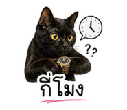 841444990