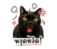 841444998