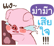 841446157