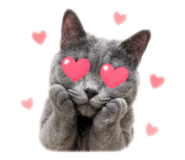 841452005