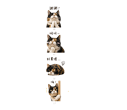 841453273