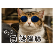 841453960