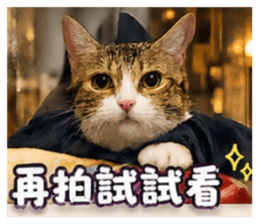 841453962