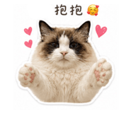 841454404