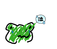 841454564