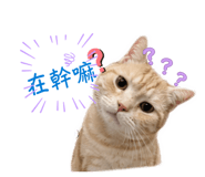 841454653