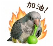 841454757