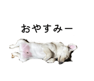 841454826