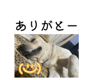 841454827