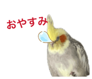 841454960