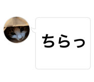 841454997