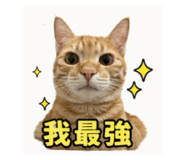 841455020