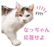 841455052