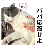 841455054
